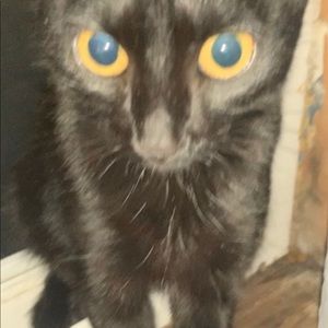 Meet your Posher, Paris